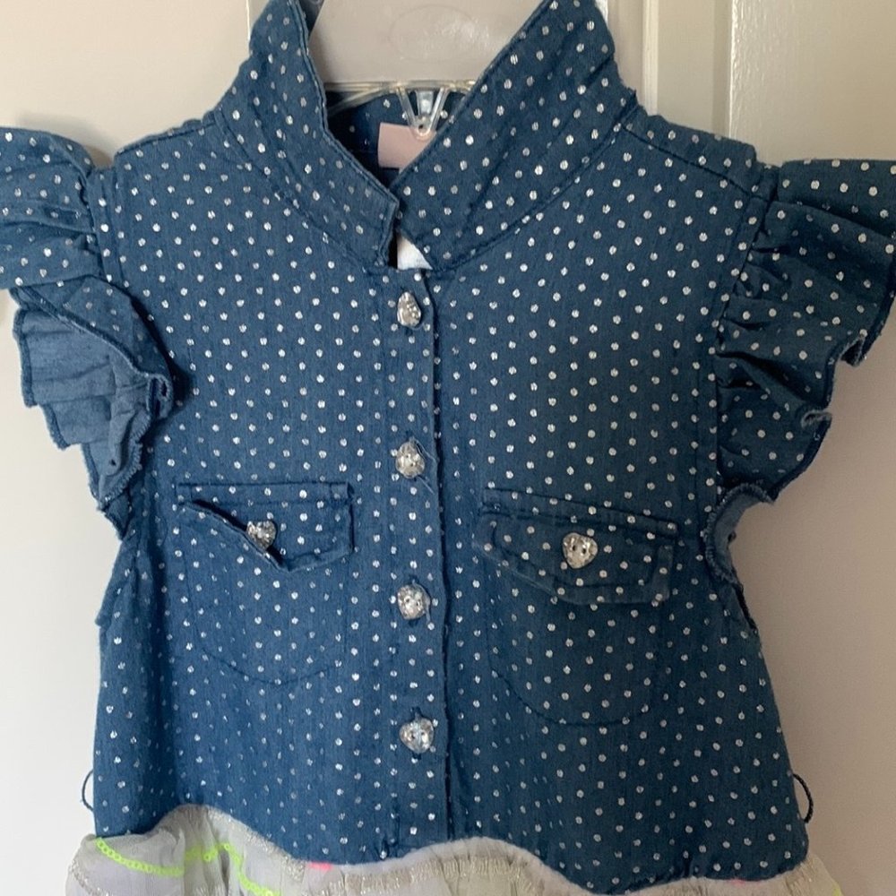 Little Lass Foil Chambray and Tulle Dress Little Girls